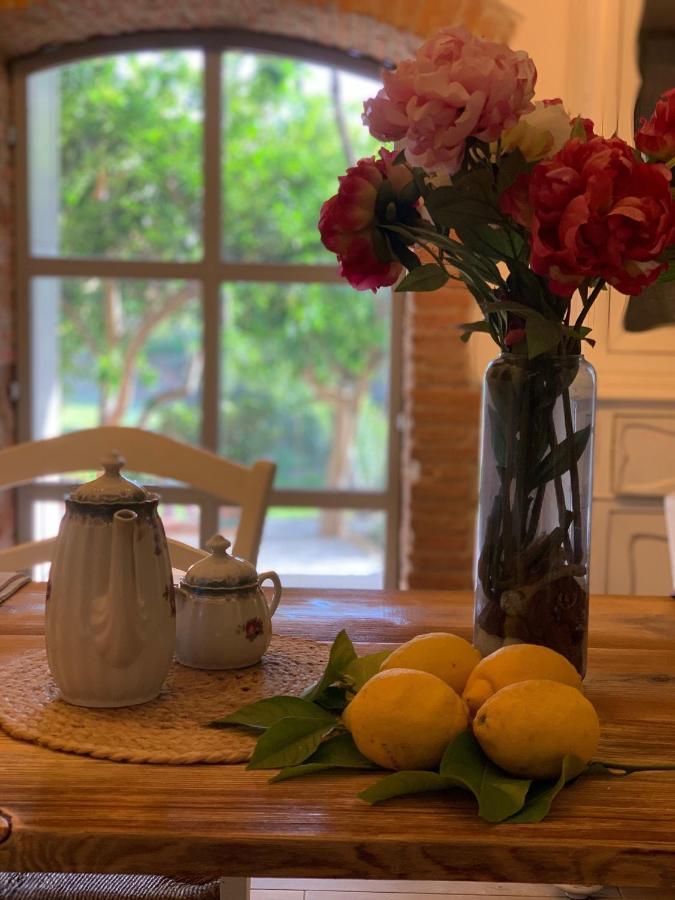 Il Giardino Dei Limoni Bed & Breakfast Suvereto Exterior foto
